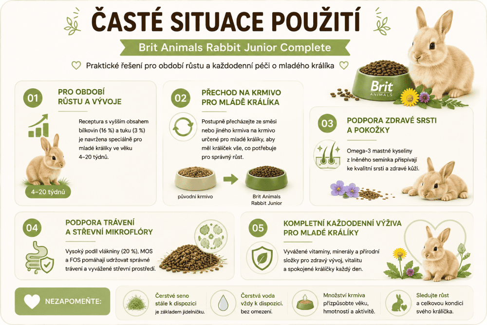 Infografika péče o mladého králíka Brit Animals